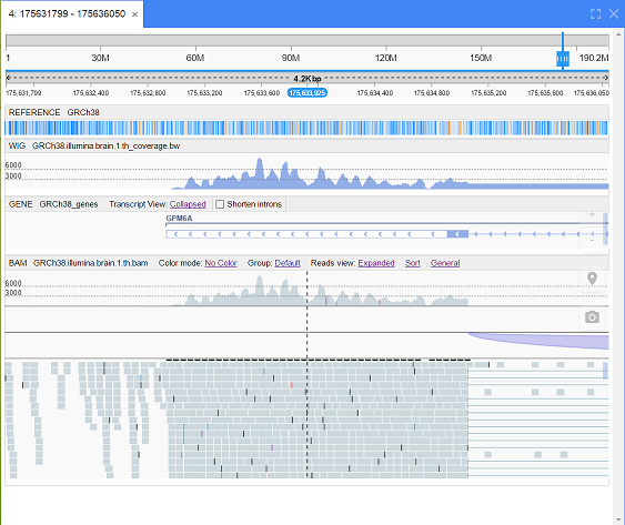 NGB_RNASeq1