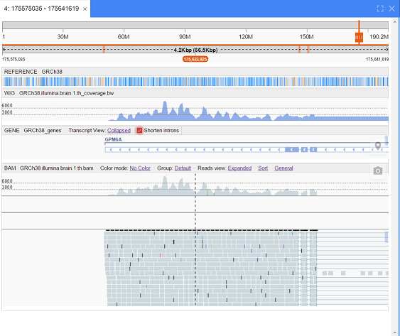 NGB_RNASeq2